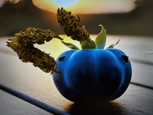Blueberry CBD 6% 1g- (<0,2%THC)