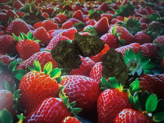 Erdbeerli 1g <6%CBD-(<0,2%THC)